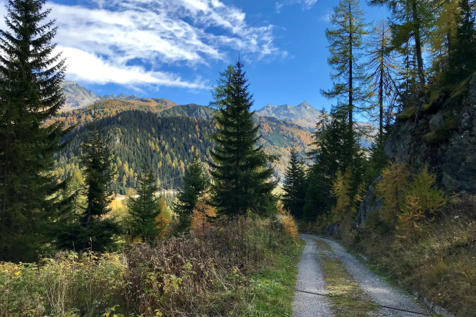 Val Faller E-Bike Tour (oua_33827975_image)