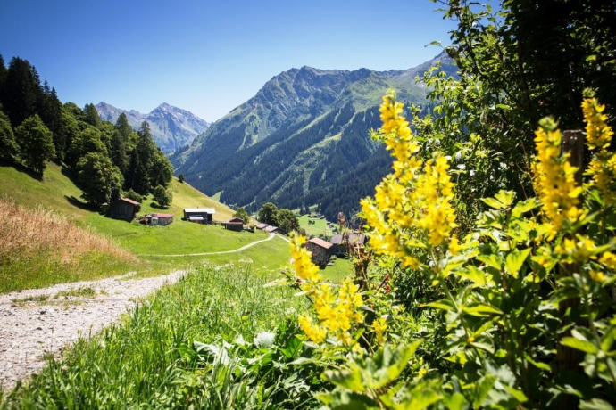 Gadäwäg Klosters (oua_34053514_image)