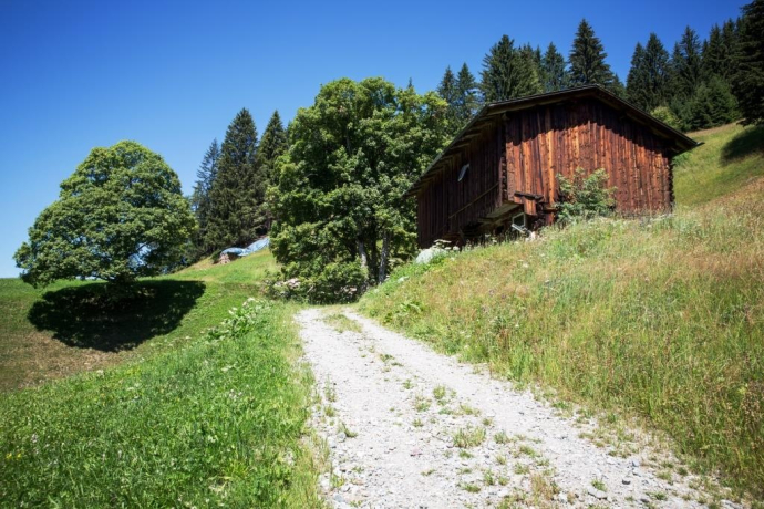 Gadäwäg Klosters (oua_34053515_image)