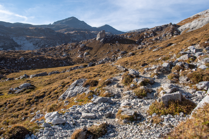 Senda panoramica | Flims - Naraus - Alp Nagens 1N (oua_34448551_image)