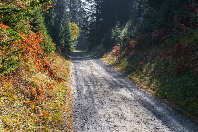 Waldwanderung: Staderas - Salums - Staderas (oua_34448916_image)