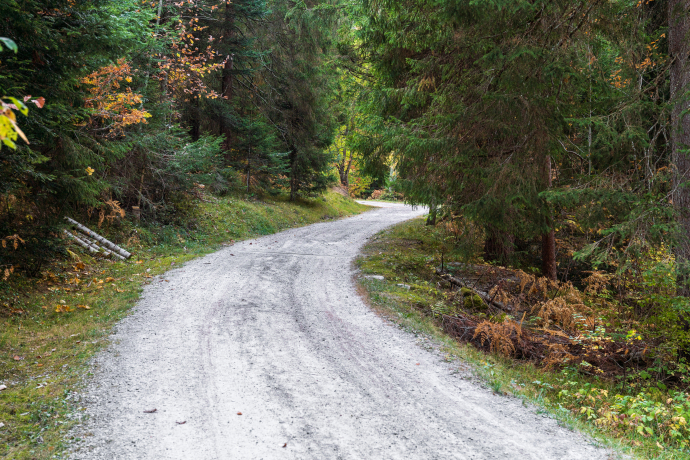 Waldwanderung: Staderas - Salums - Staderas (oua_34448918_image)