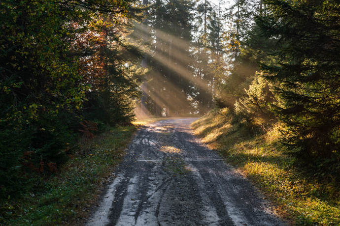 Staderas - Val Gronda - Salums - Laax