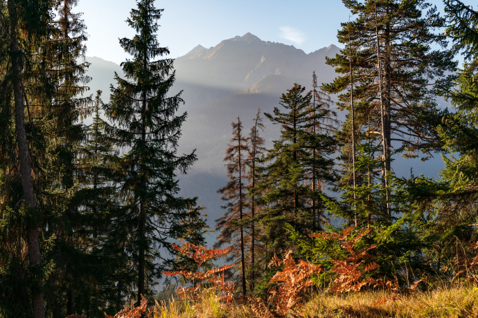 Staderas - Val Gronda - Salums - Laax