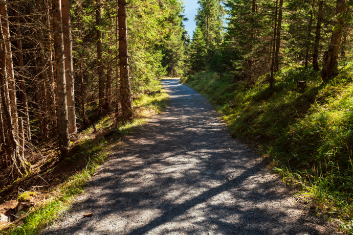 Bargis - Fidaz - Flims