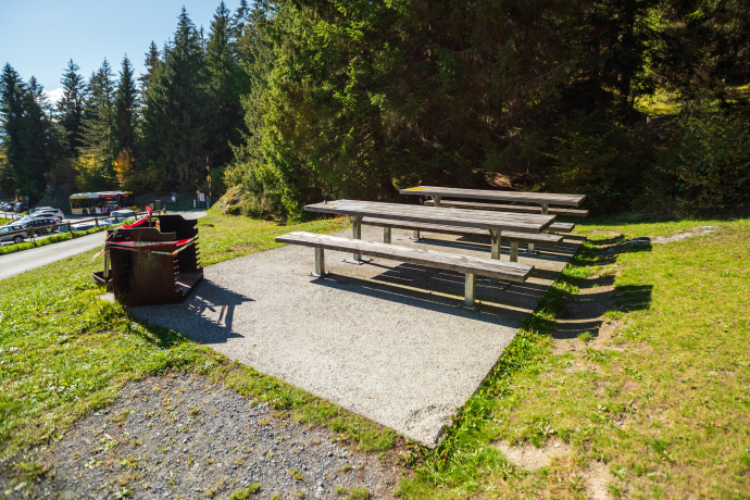 Bargis - Fidaz - Flims