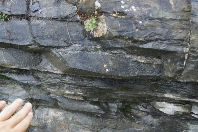 Flysch on the Hüenerspitz Flysch on the Hüenerspitz