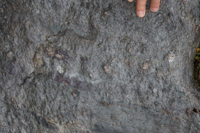 Verrucano on the Alpichopf (oua_35258603_image)