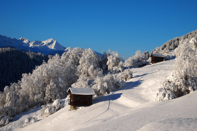 Schneeschuhwanderung Ladinas ab Andiast (oua_35504321_image)