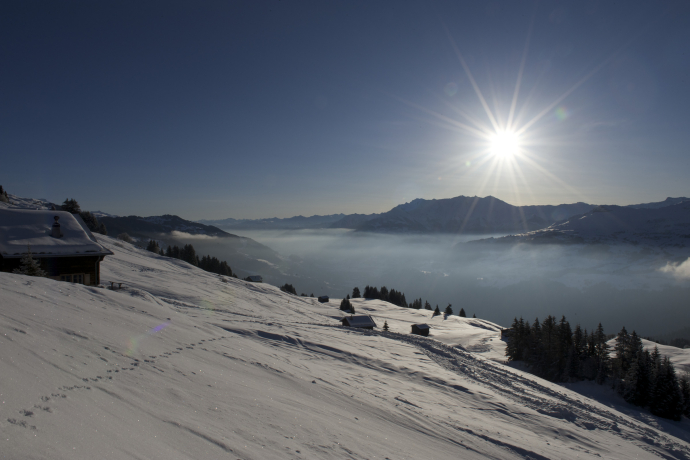 Sledding Route: Alp Dado - Waltensburg (oua_35504369_image)