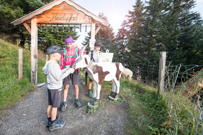 Chèvres sur le sentier Heidi