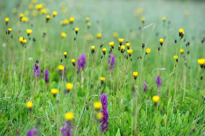 Forscherparcours Alp Flix - nicht verfügbar