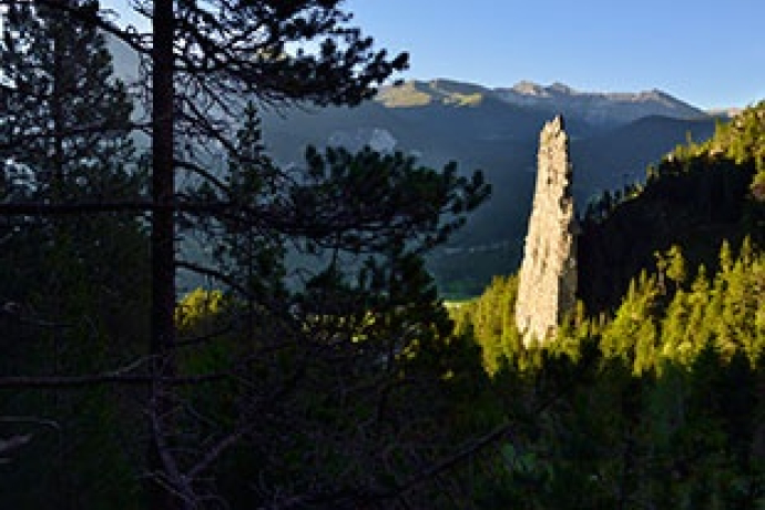 Chemin des Pionniers 07 : Réserve Naturelle Forestière Chemin des Pionniers 07 : Réserve Naturelle Forestière