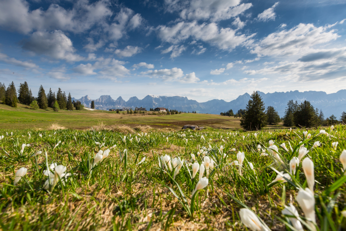 Veduta dell'altopiano di Madils