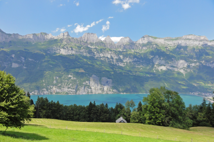 Panorama mit Churfirsten und Walensee