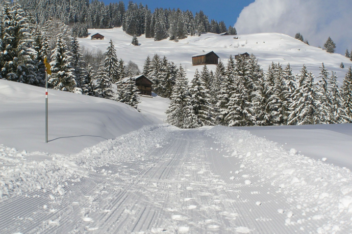 Circular route Cumbel - Morissen