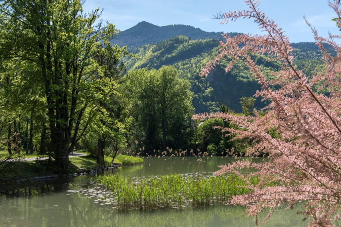 Le Giessenpark en été