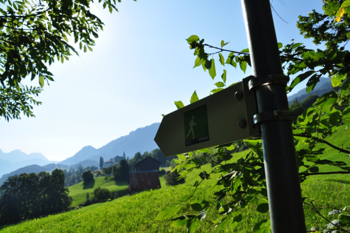 Namensgeber des Trails Die Lichtung Eigis