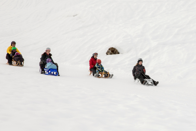 Schlittelweg Crusch - Lumbrein