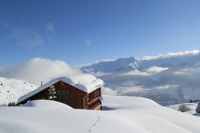 Schlittelweg Patiarm - Vignogn