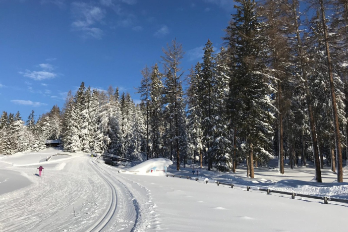 Des pistes de ski de fond parfaites à la Roland Arena