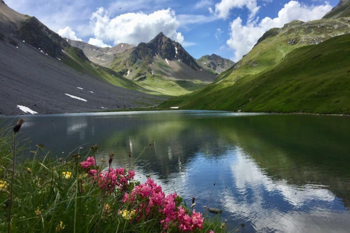Älplisee Älplisee