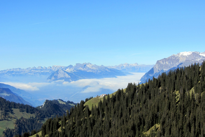 Furnerberg Rheintal