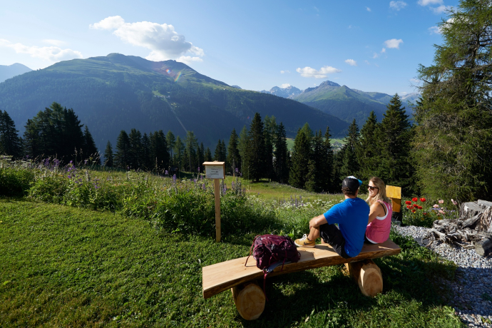 Wandern Schatzalp, Davos, Schweiz