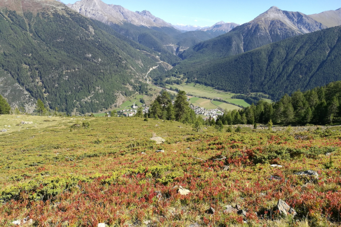 Vista su Zernez e Passo del Forno