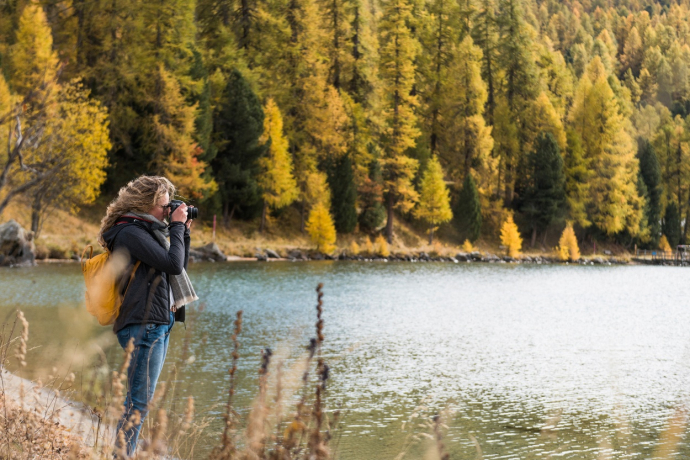 Il lago di Sils in autunno