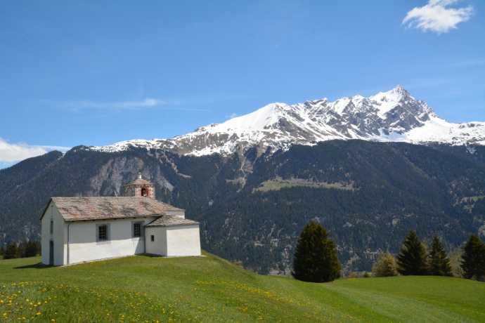 Trailrun Tigignas - Somtgant - Savognin (oua_39074745_image)