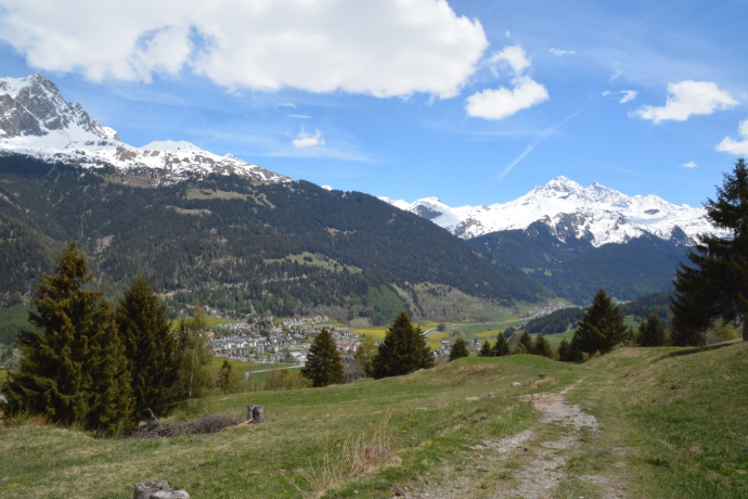 Tigignas - Riom - Savognin (adatto a passeggini) (oua_39074977_image)