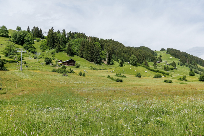 Station aval Breil-vitg
