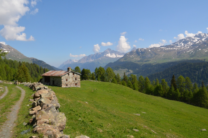 Alpleben über dem Marmorerasee (Bivio - Sur Ragn - Pra Miez - Marmorera) (oua_39799108_image)