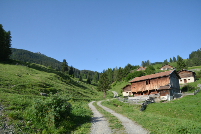 Trail run Savognin - Tinizong - Parseiras - Savognin (oua_39847226_image)