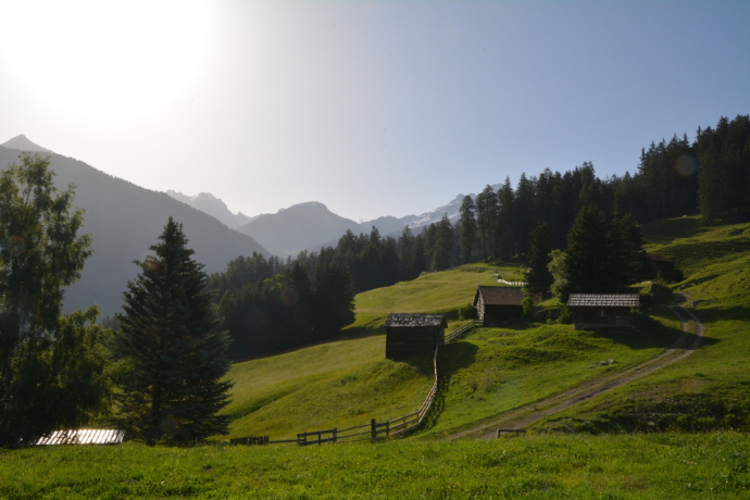 Trail run Savognin - Tinizong - Parseiras - Savognin (oua_39847277_image)