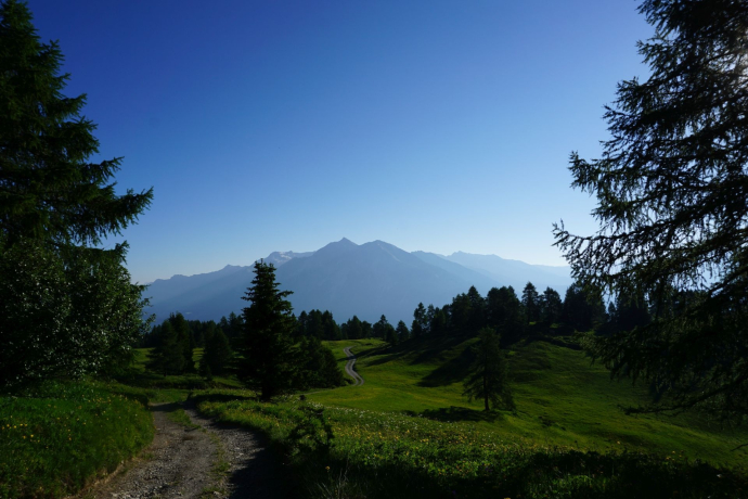 Munter - Ziteil - Stierva (oua_39949384_image)