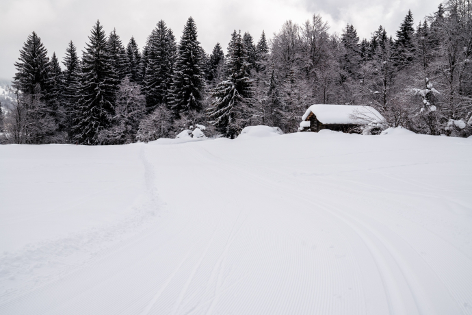 Cross-country skiing trail Flims Conn (oua_40114219_image)