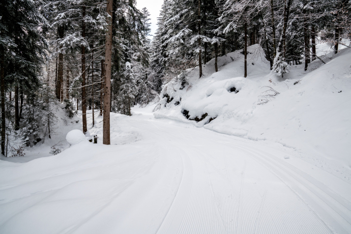 Cross-country skiing trail Flims Conn (oua_40114221_image)