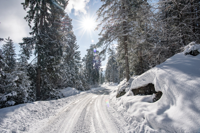 K1 Kulinarik Trail "Wald & Winter" (oua_40246582_image)
