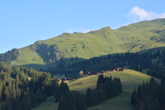 Pensa - Furschela da Colm - Alp d'Err - Bartg - Pensa (oua_40350376_image)