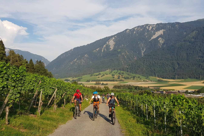 Montée à travers les vignes au-dessus de Felsberg