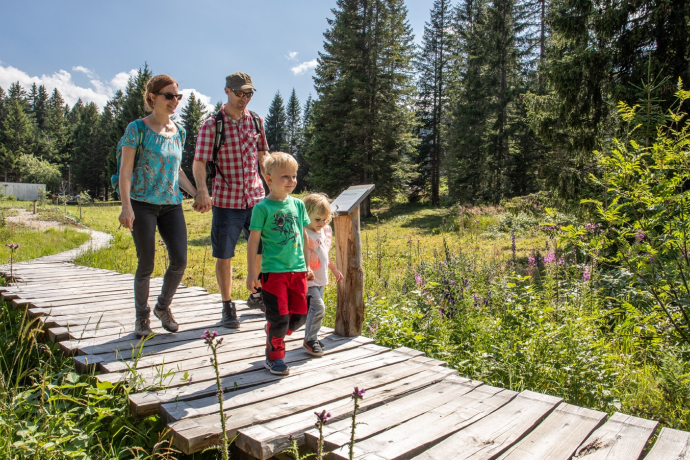 Moorpfad Riedboden, Brambrüesch