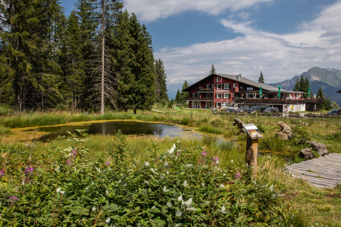 Malixerhof Brambrüesch im Sommer Malixerhof Brambrüesch im Sommer