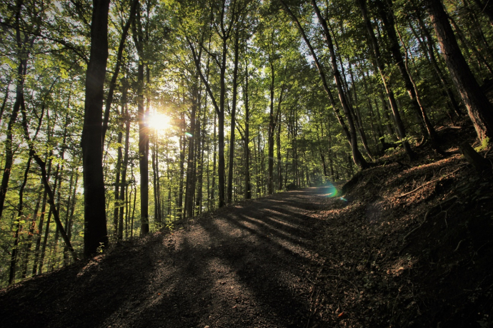 Aufstieg zum Guschachopf