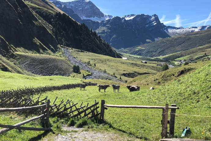 Blick vom Start in Safien Thalkirch in Richtung Wisshorn