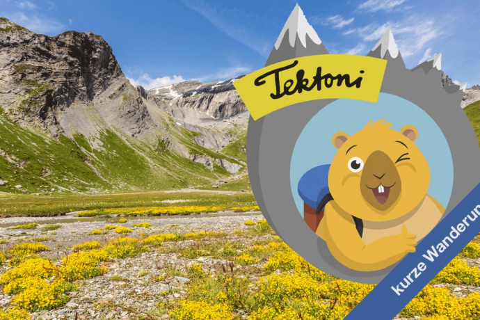 Tektoni - Unterwegs im unteren Segnesboden