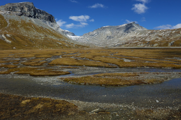 Tektoni - Unterwegs im unteren Segnesboden