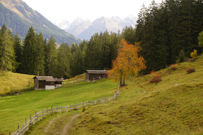 Herbst in der Grossrüti
