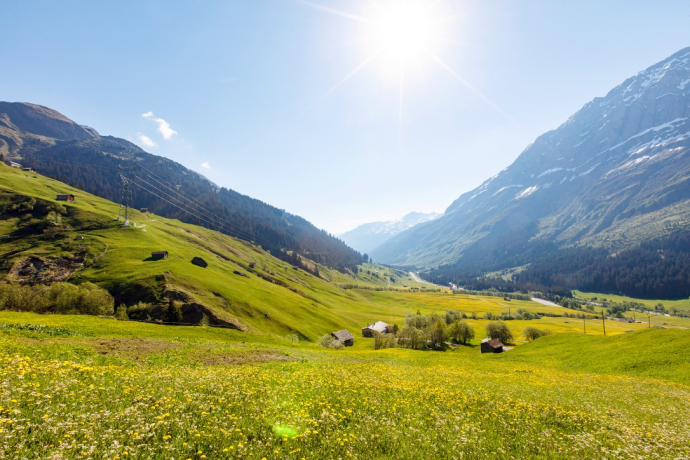 Mountain meadows Rheinwald